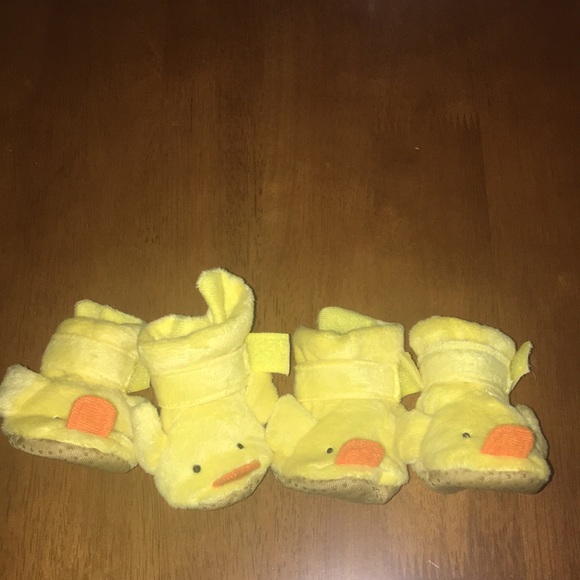dog duck slippers